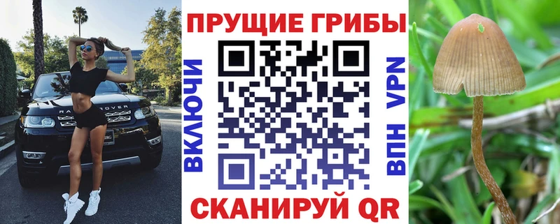 Псилоцибиновые грибы мухоморы  Купить  Нижневартовск 