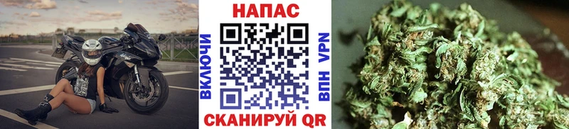 Марихуана конопля  Купить где  Нижневартовск 